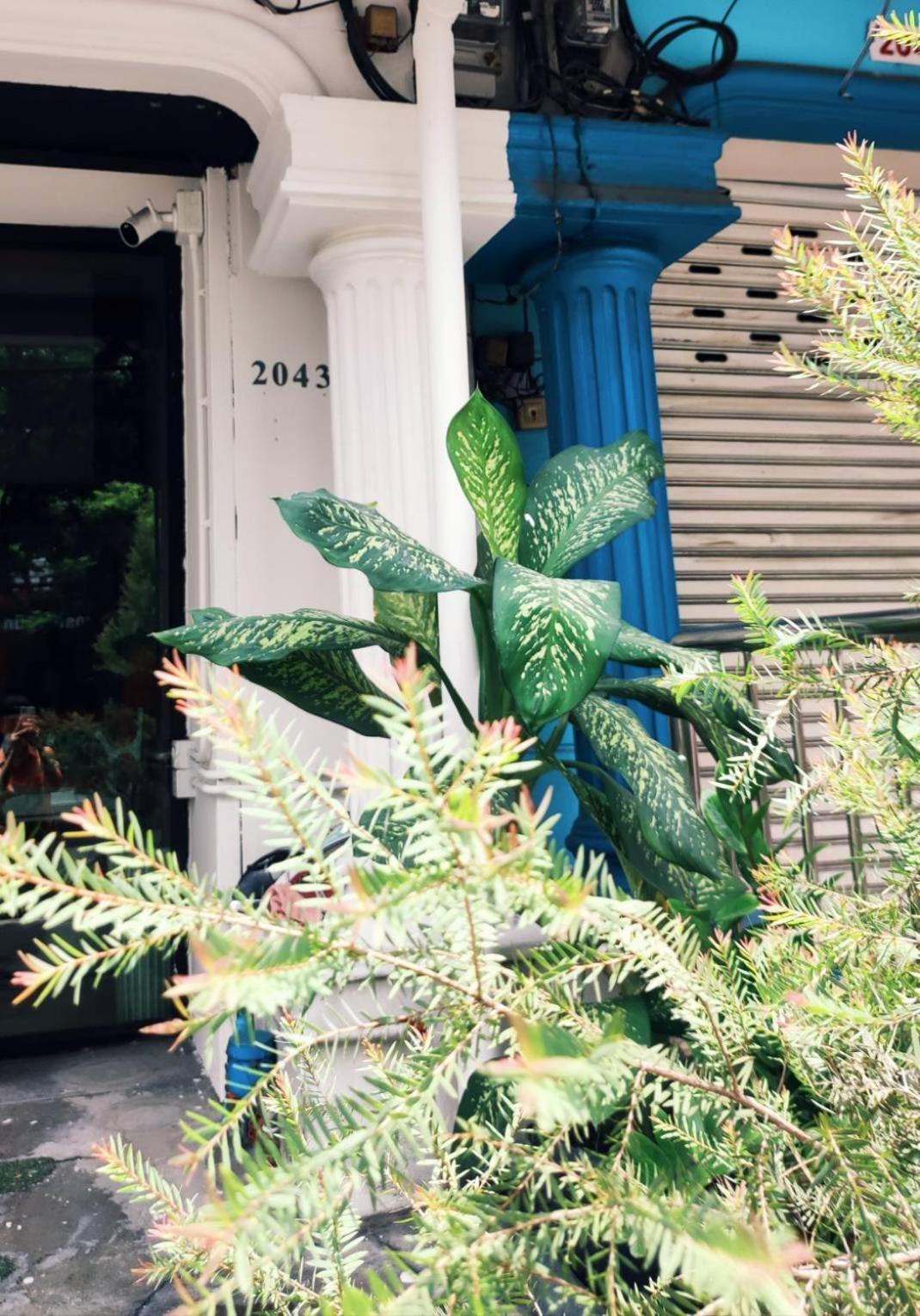 Couette-café Mstay Bangkok